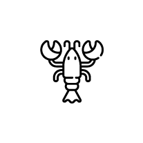 Lobster Dubai UAE